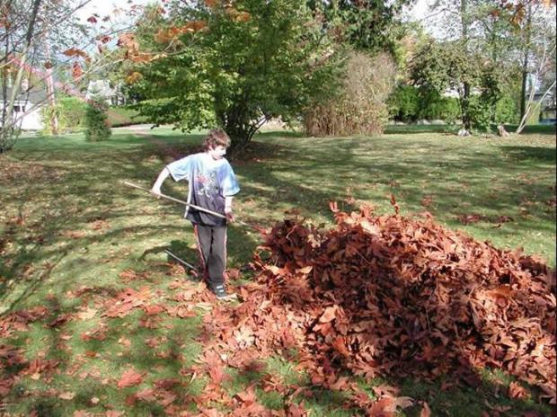 Save your Leaves 