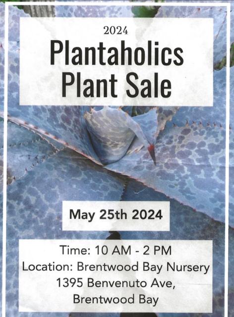 Plantaholics Poster 2024