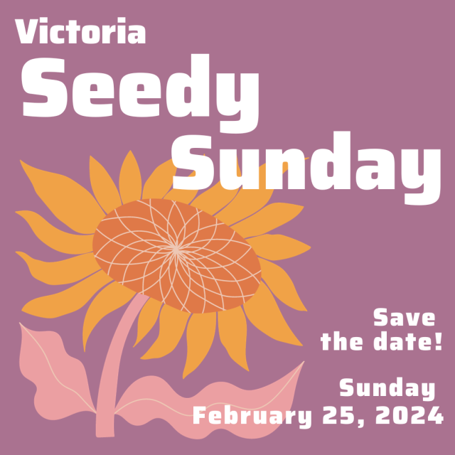 Seedy Sunday 2024